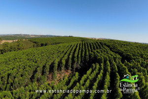 ALTO 360.00_02_50_24.Quadro006_fddd60e916243be51f68549e605b7135c530f329.jpg